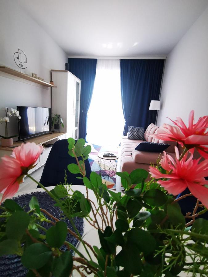 Karra Residence Timisoara - Autorizat Ministerul Turismului Exteriér fotografie
