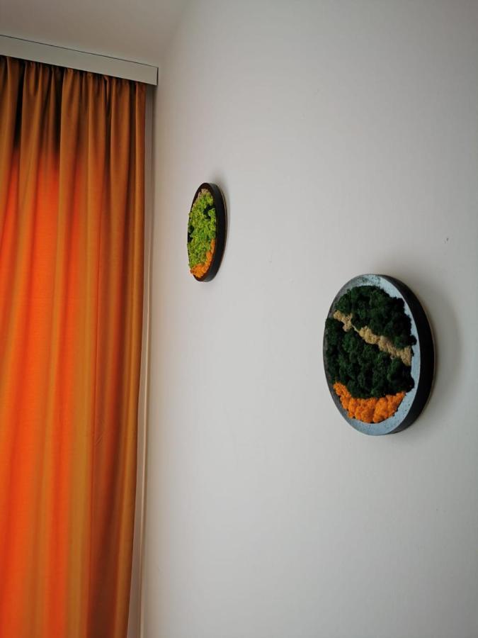 Karra Residence Timisoara - Autorizat Ministerul Turismului Exteriér fotografie