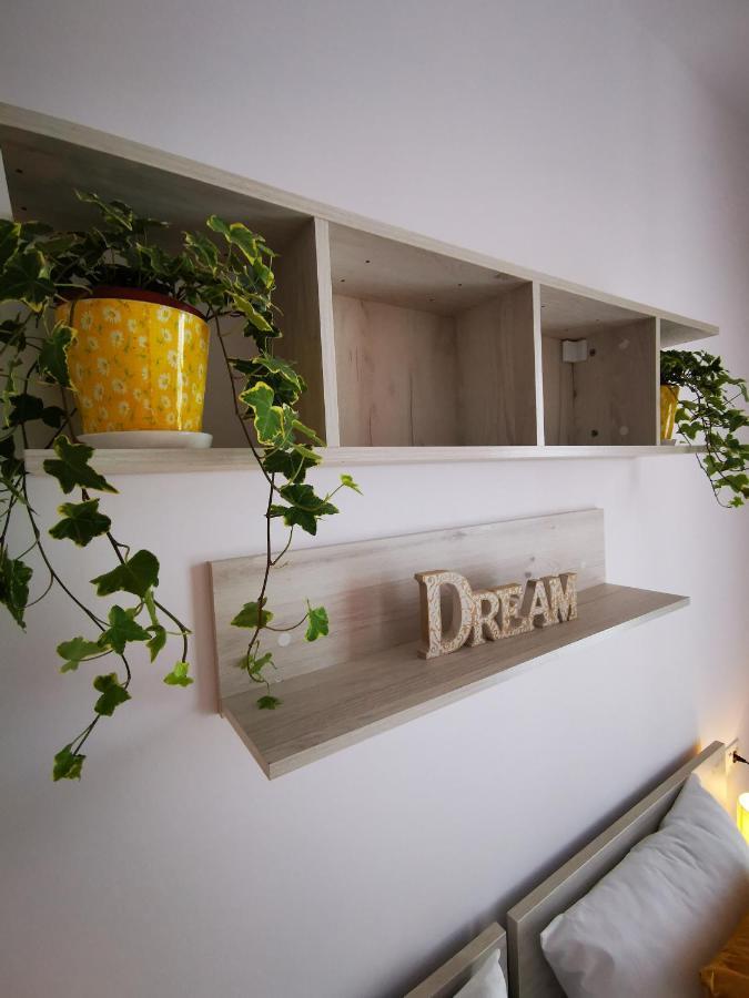 Karra Residence Timisoara - Autorizat Ministerul Turismului Exteriér fotografie
