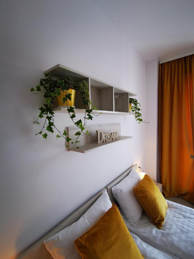 Karra Residence Timisoara - Autorizat Ministerul Turismului Exteriér fotografie