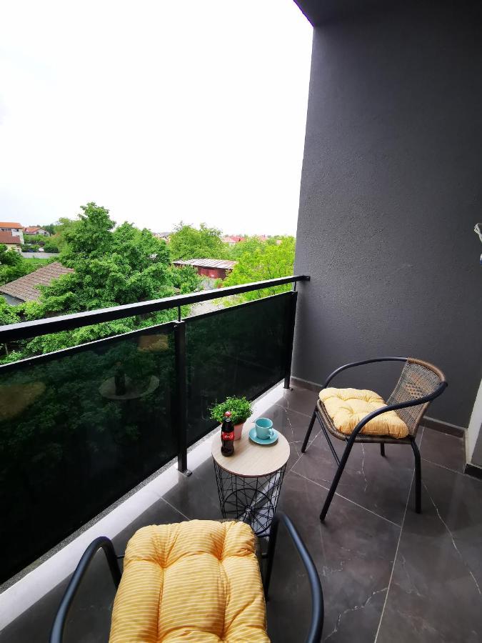 Karra Residence Timisoara - Autorizat Ministerul Turismului Exteriér fotografie