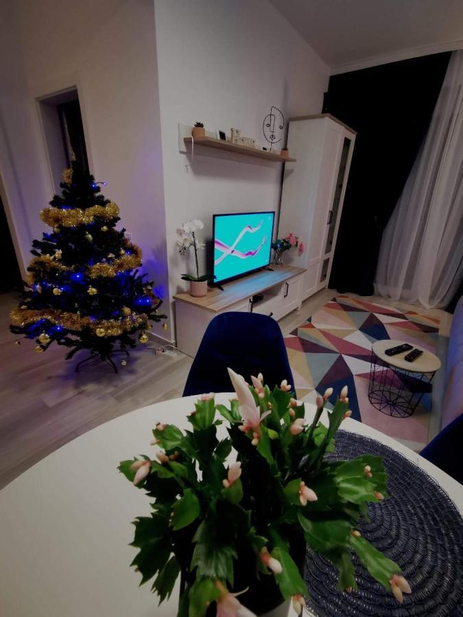 Karra Residence Timisoara - Autorizat Ministerul Turismului Exteriér fotografie