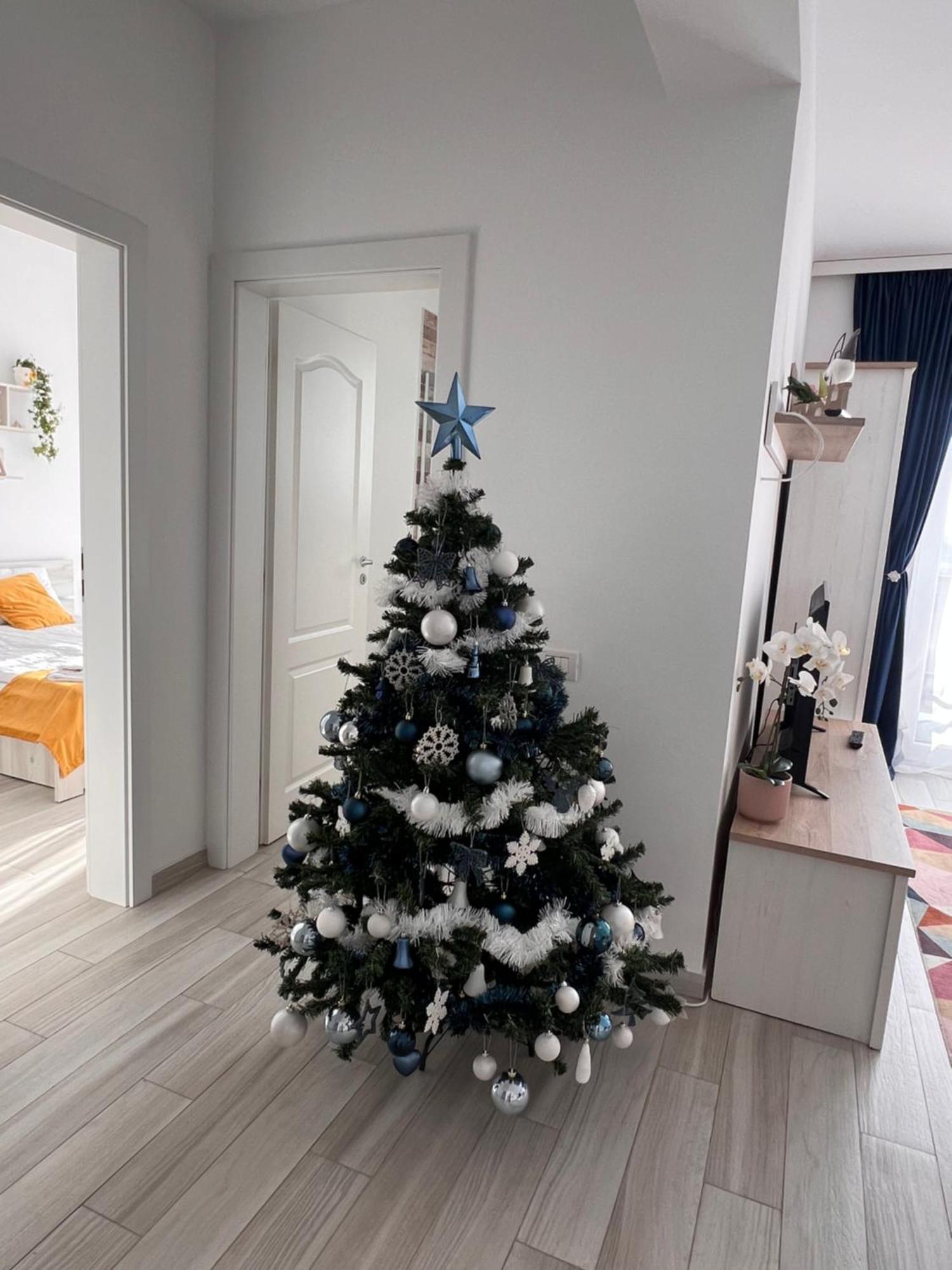 Karra Residence Timisoara - Autorizat Ministerul Turismului Exteriér fotografie