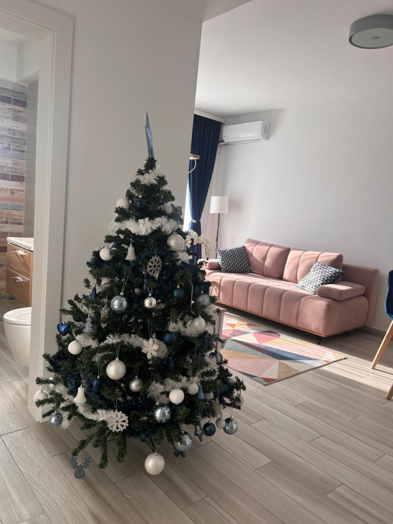 Karra Residence Timisoara - Autorizat Ministerul Turismului Exteriér fotografie